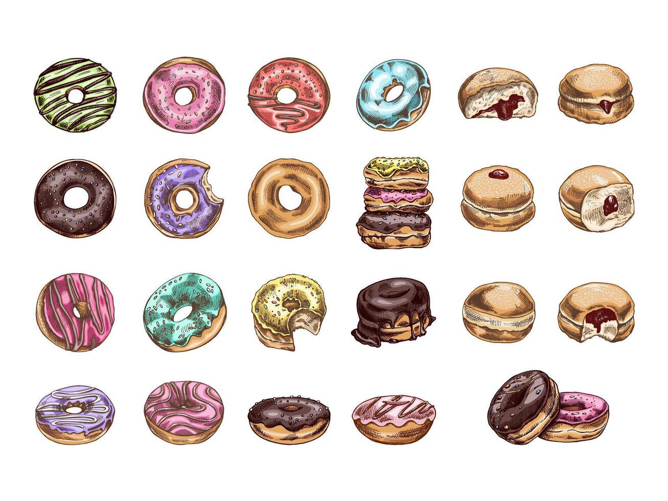 A hand-drawn colored sketch of a set of donuts. Vintage illustration. Pastry sweets, dessert. Element for the design of labels, packaging and postcards. vector