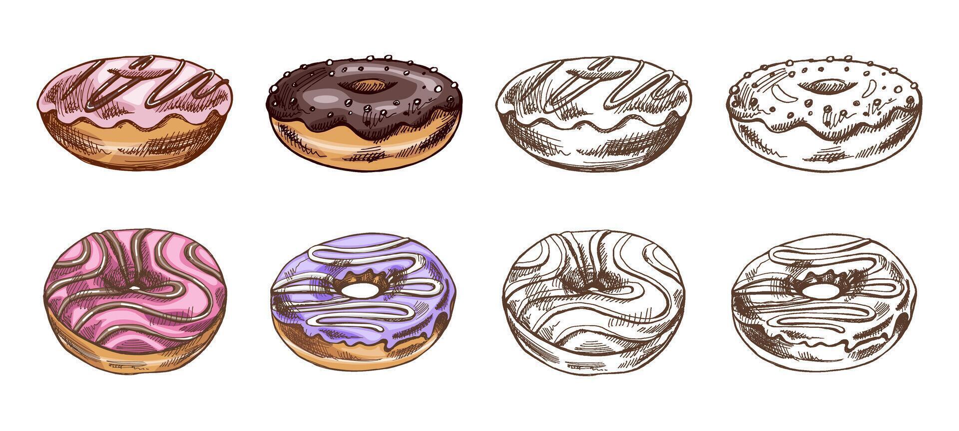 A hand-drawn colored and monochrome sketches of donuts. Vintage illustration. Pastry sweets, dessert. Element for the design of labels, packaging and postcards. vector