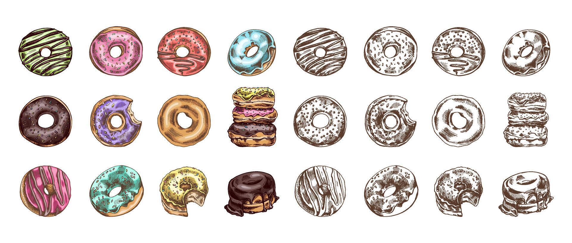 A set of hand-drawn colored and monochrome sketches of donuts. Vintage illustration. Pastry sweets, dessert. Element for the design of labels, packaging and postcards. vector