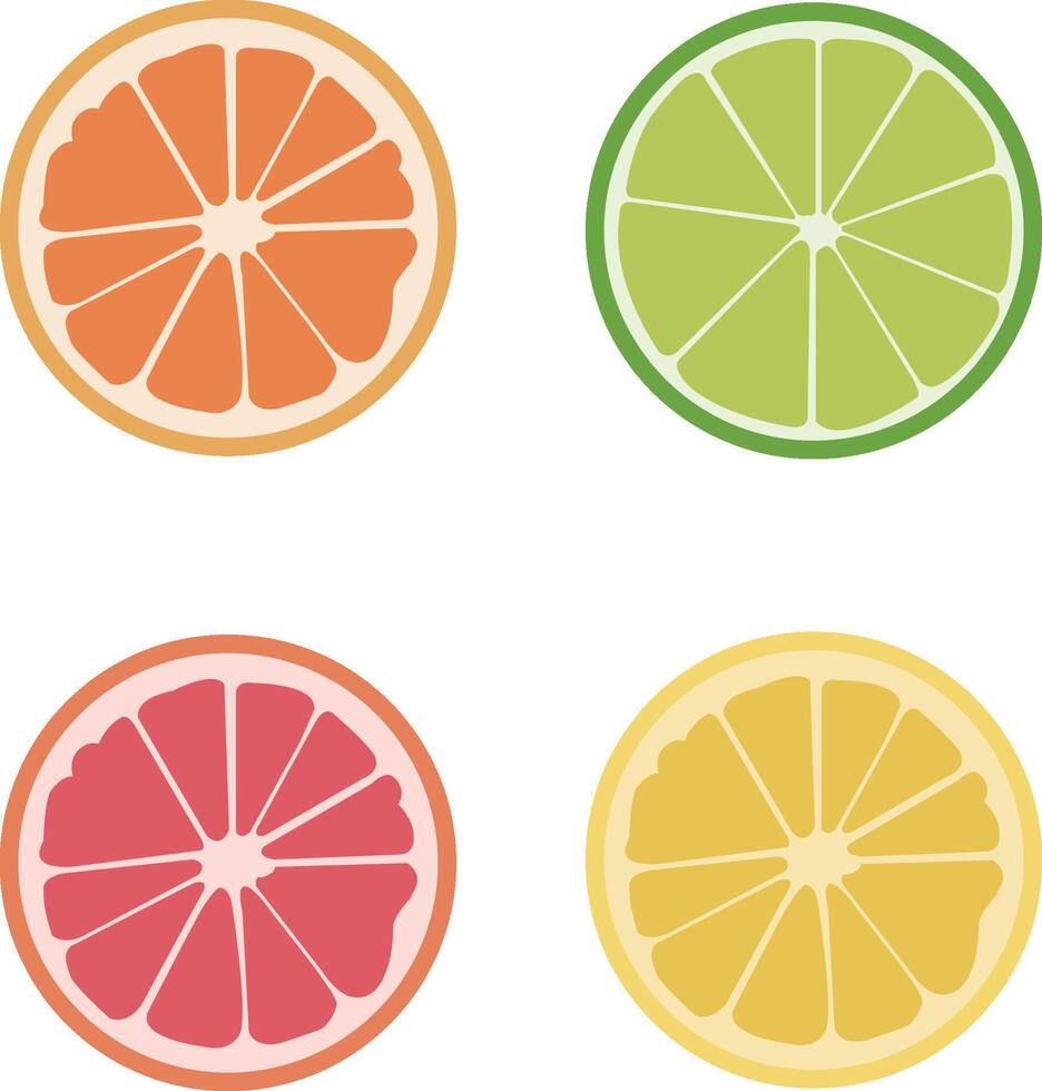 vector slices of fruit set illustration