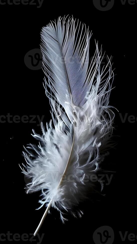 AI generated a white feather on a black background photo