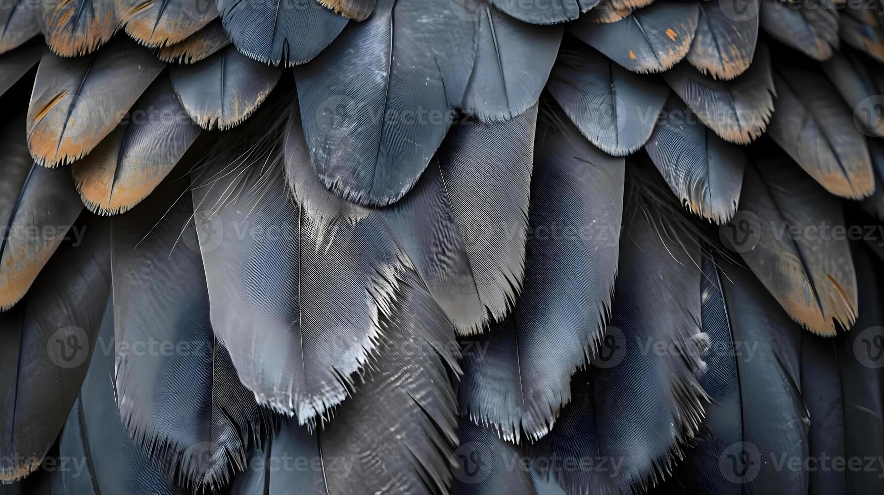 AI generated a close up of the feathers of a bird photo