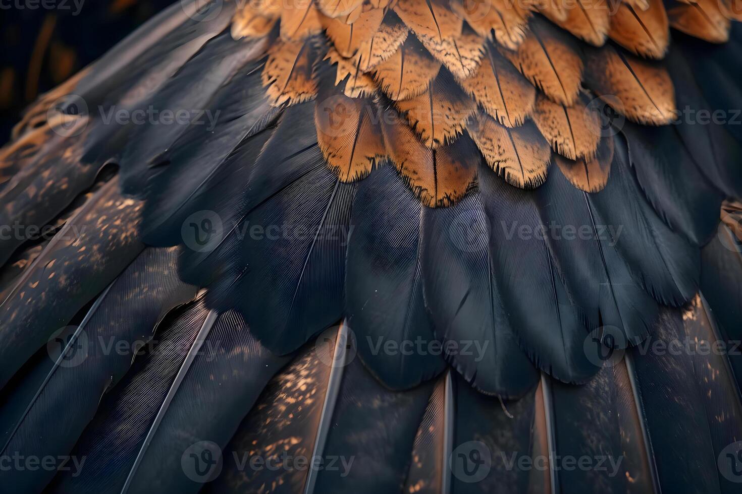 AI generated a close up of a black and brown bird's feathers photo