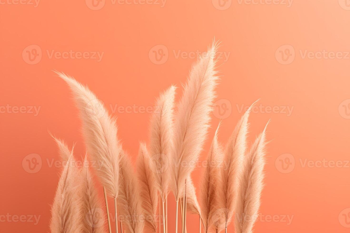 AI generated White fluffy pampas grass background photo