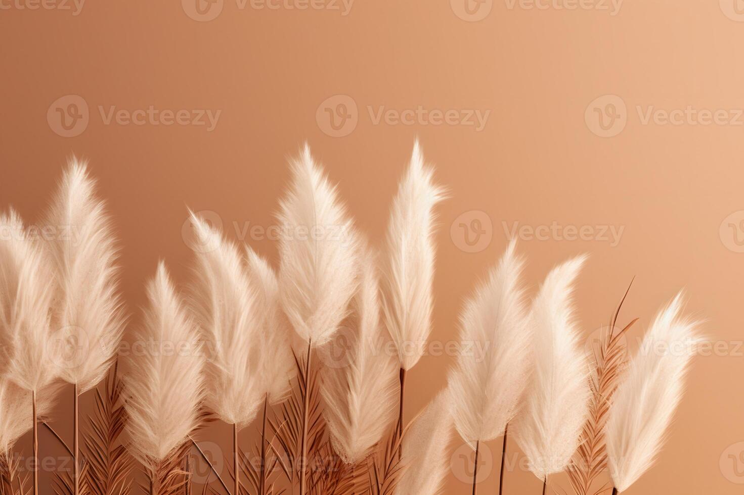 AI generated White fluffy pampas grass background photo