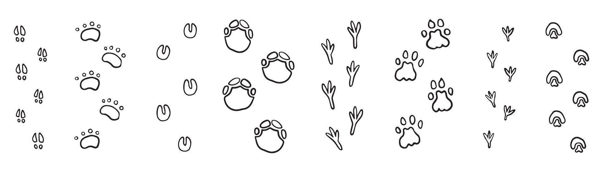 Assorted collection of black and white animal tracks and footprints, ideal for educational, wildlife, and nature-themed designs. vector