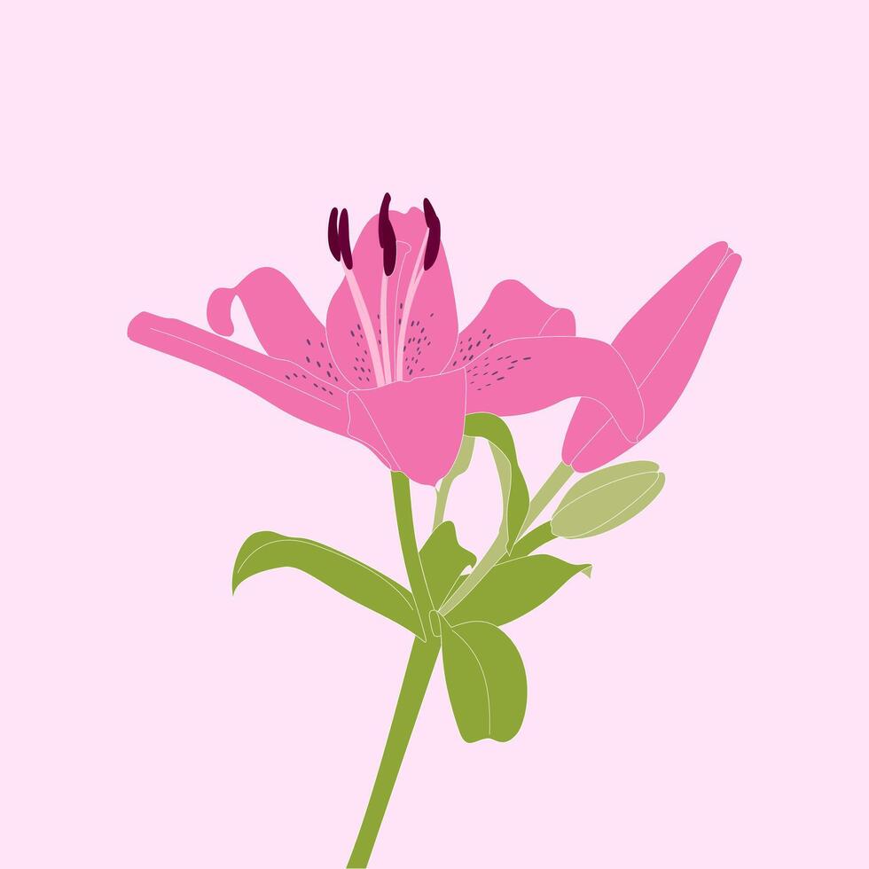 a pink flower with green leaves on a pink background vector