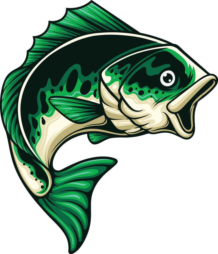 Vector illustration of largemouth bass fish