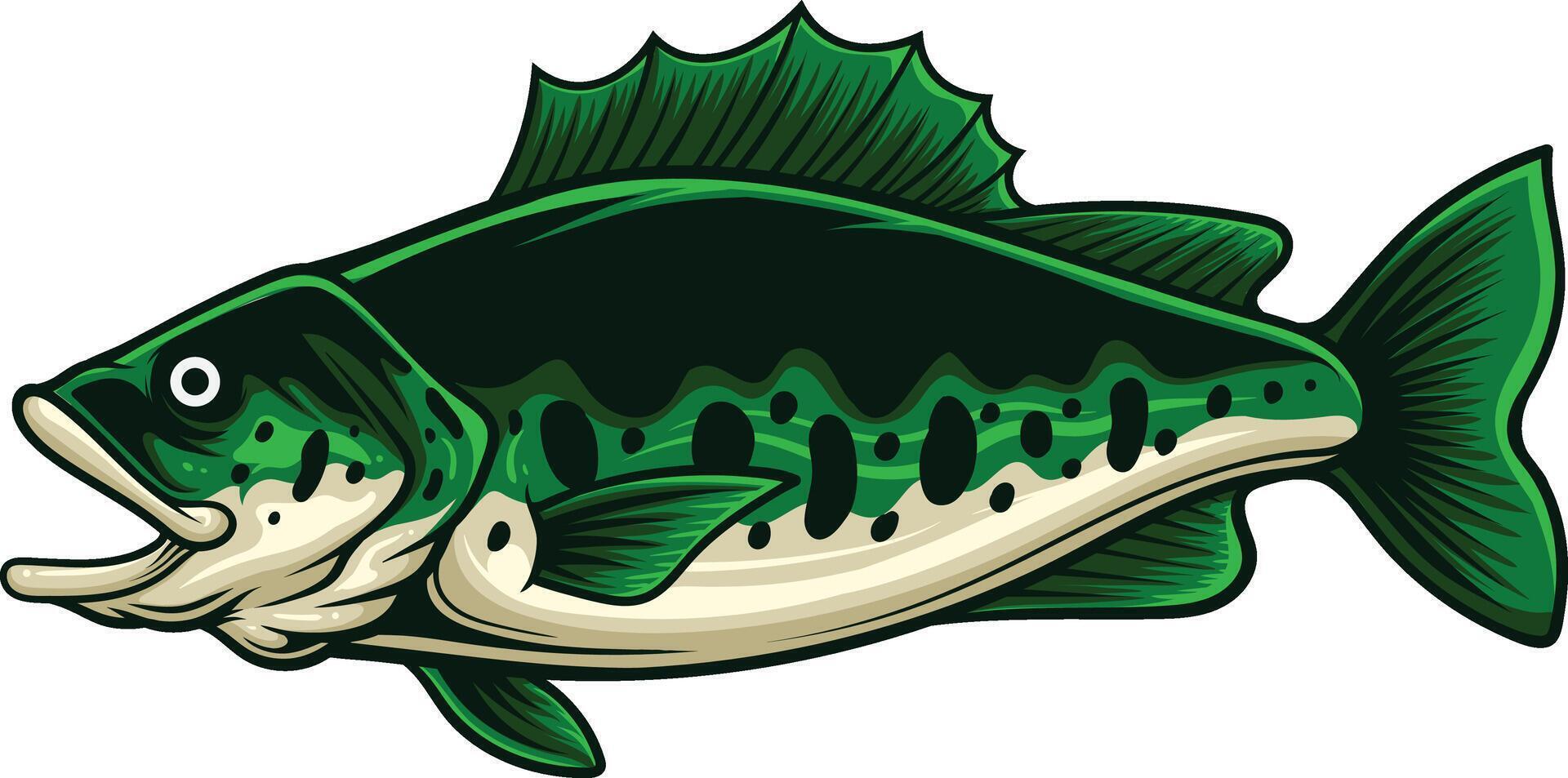 Vector illustration of largemouth bass fish