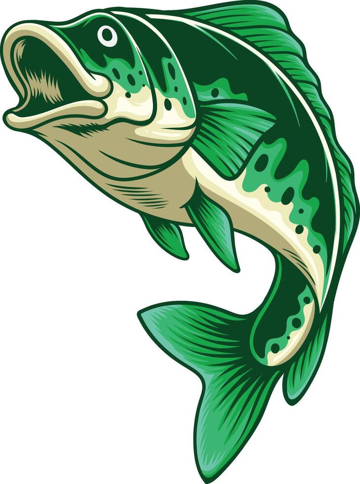 Vector illustration of largemouth bass fish