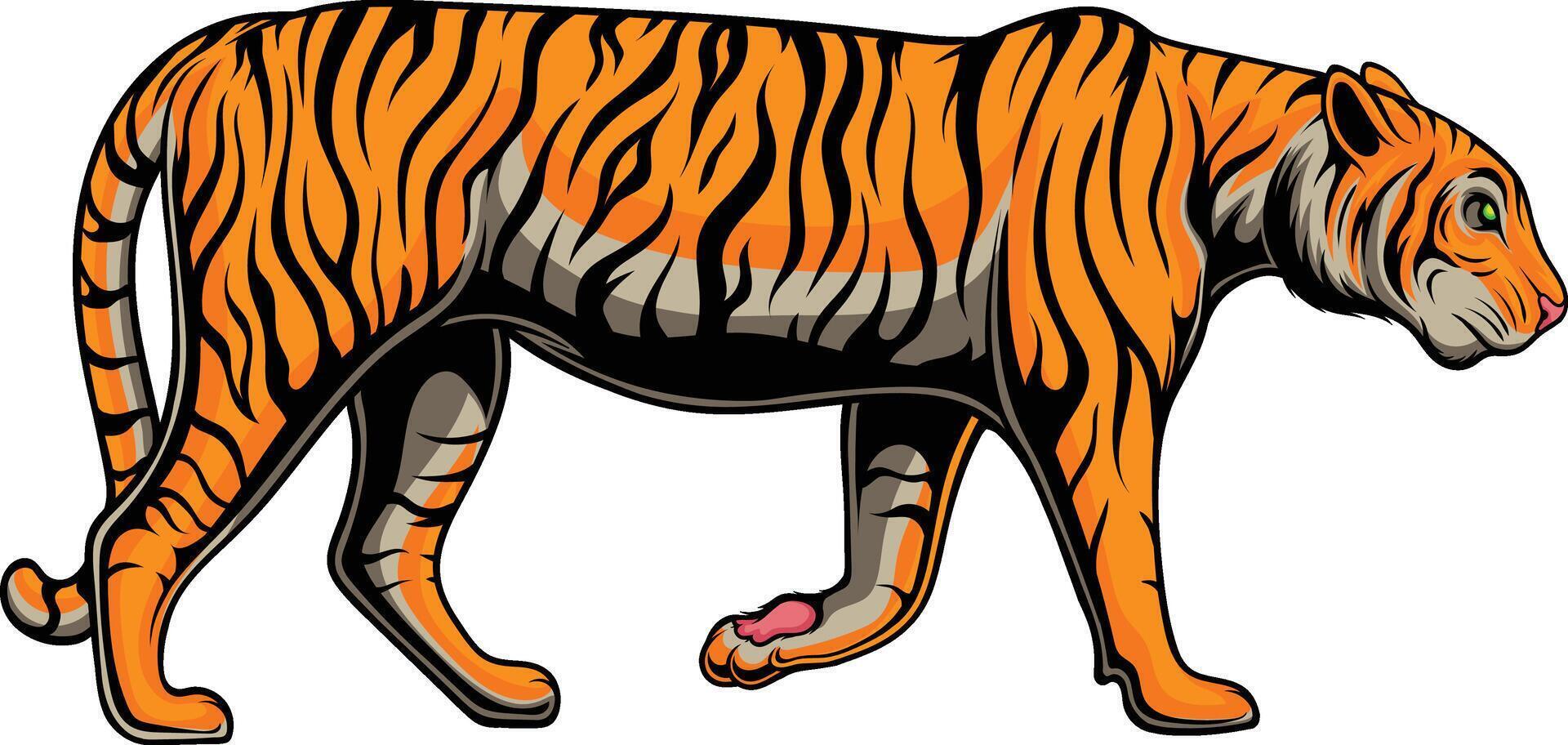 ilustración vectorial de tigre vector