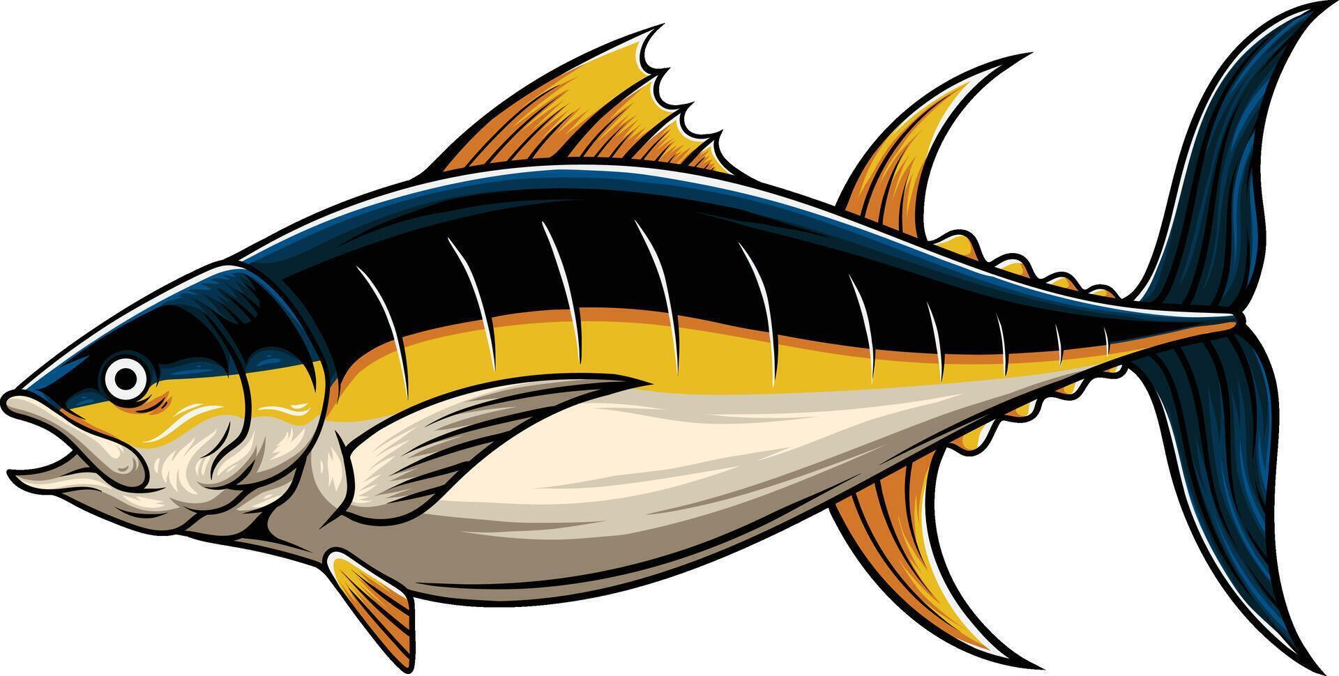 Vector illustration of tuna fish