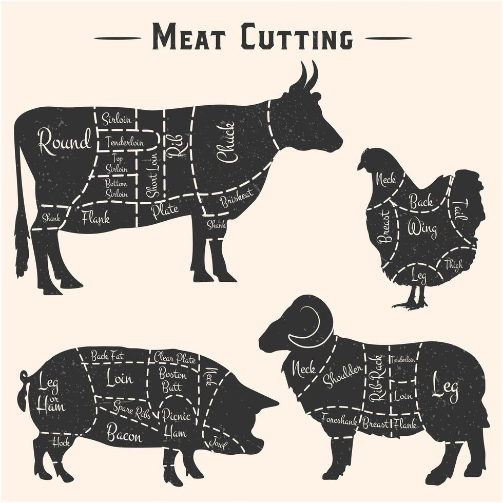 Set of Meat diagrams. Cuts of meat. Cow, Chicken, Pig and Sheep silhouette. Vintage Posters for groceries, butcher shop, meat store. Vector illustration,