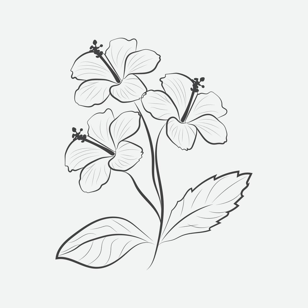 hibisco flor línea Arte. vector