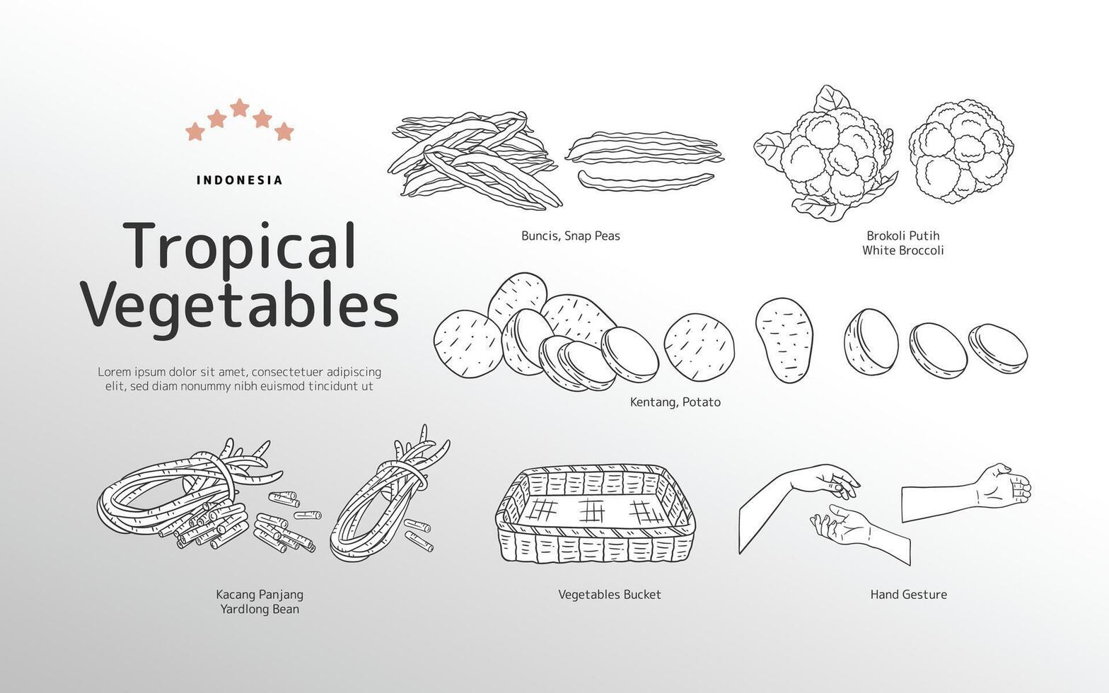 Isolated Tropical vegetables outline illustration vector