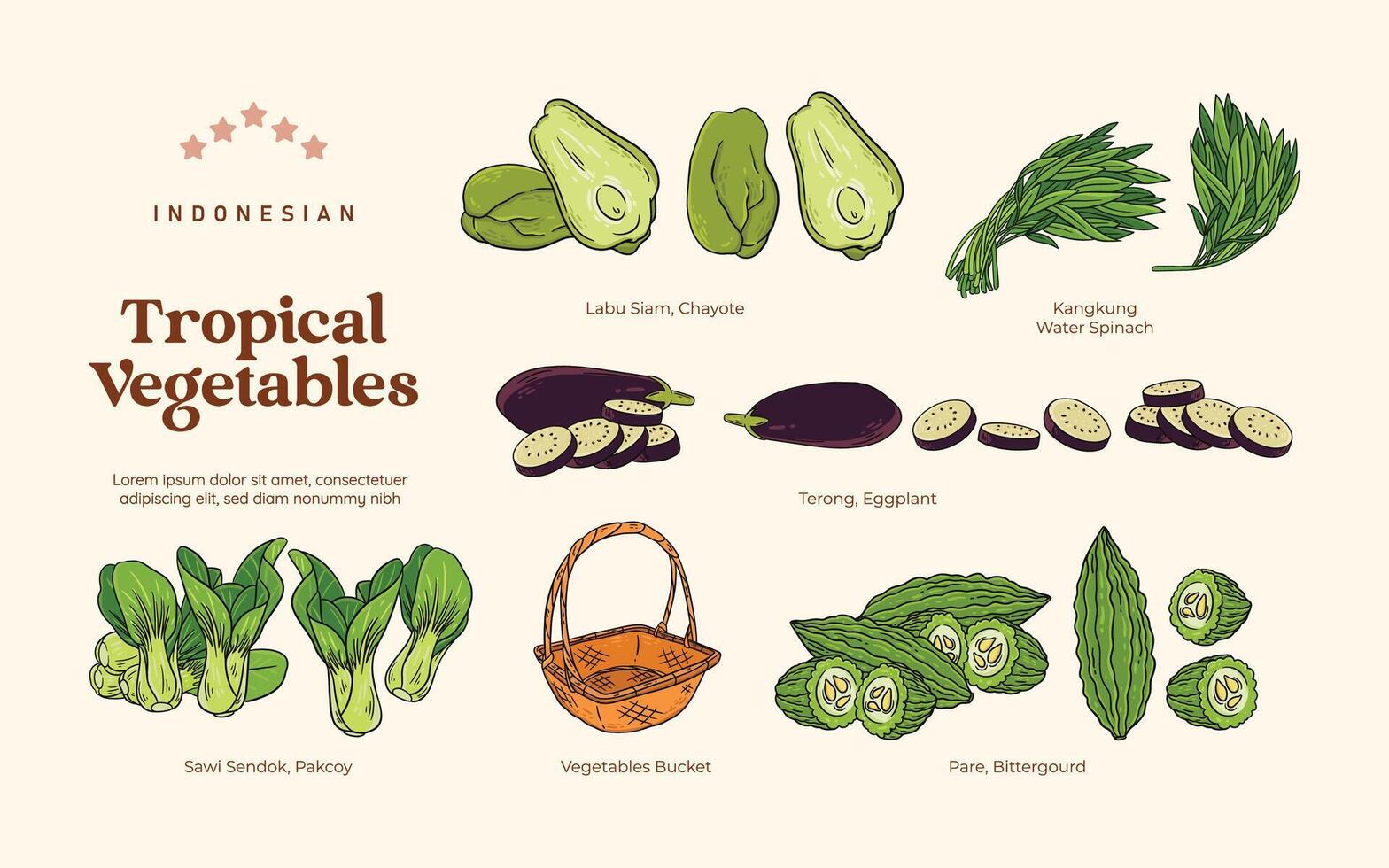 Isolated Tropical vegetables illustration, Indonesian botanical consumed plants element vector