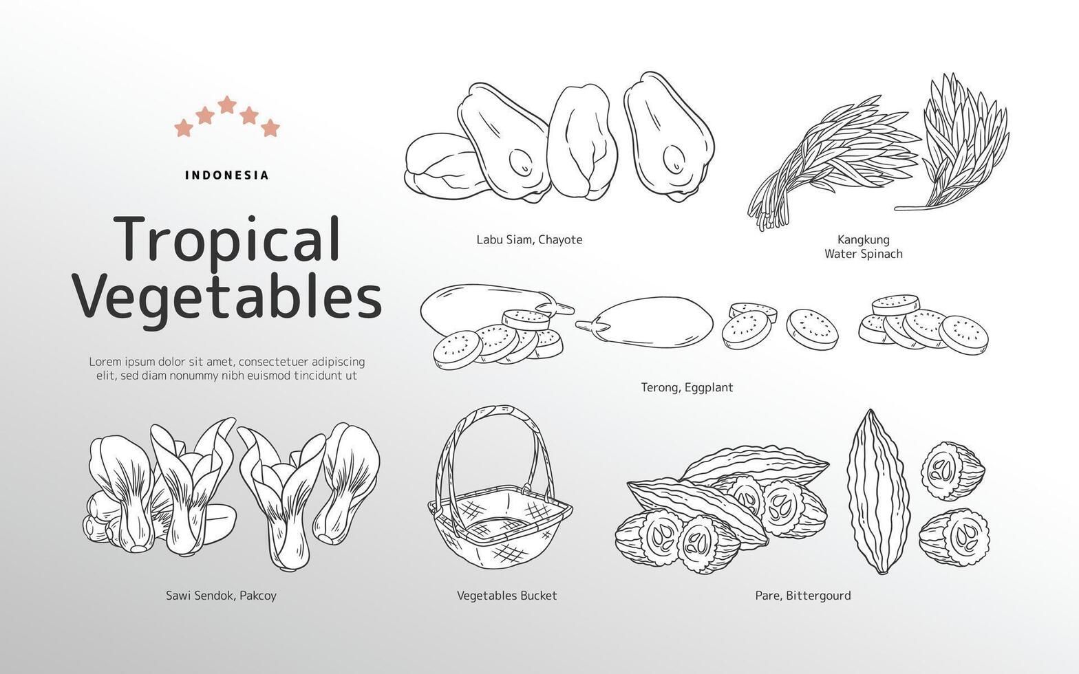 Isolated Tropical vegetables outline illustration vector