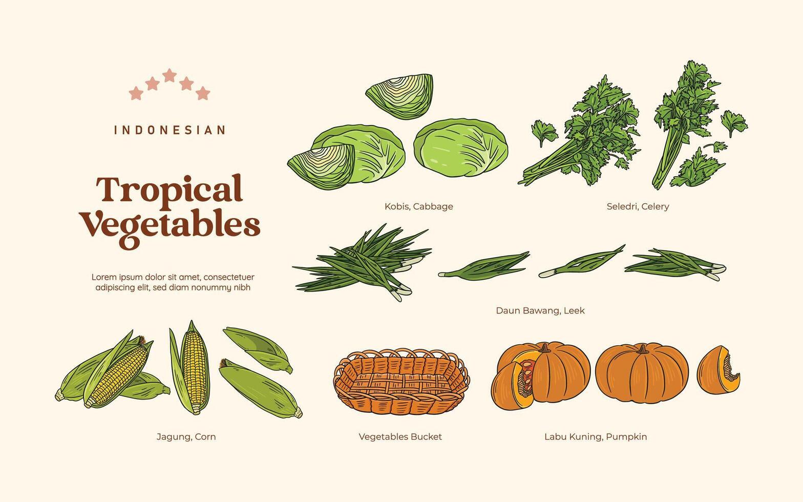 Isolated Tropical vegetables illustration, Indonesian botanical consumed plants element vector