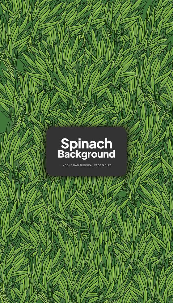 Water Spinach illustration, tropical vegetable background design template vector