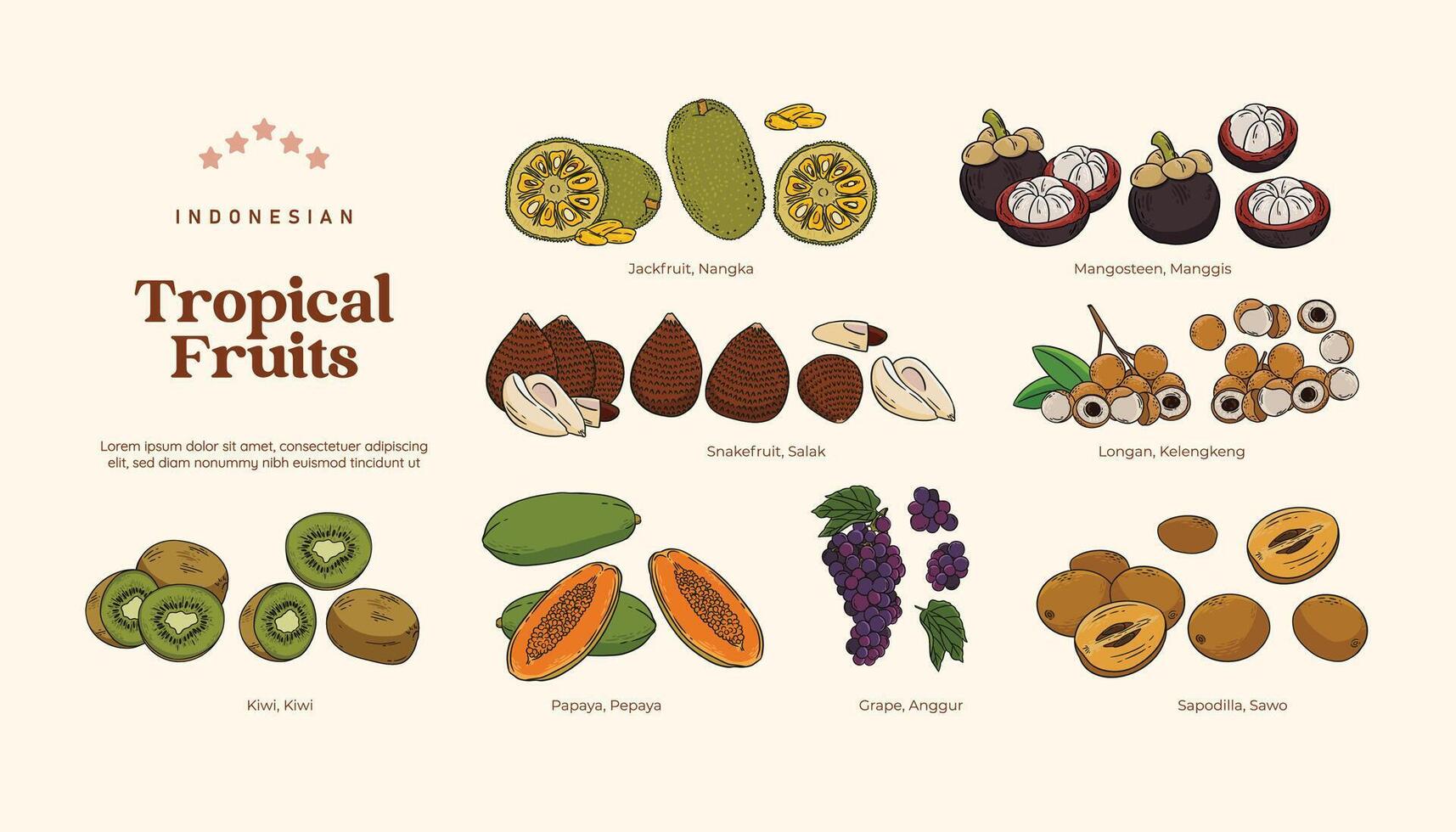 aislado tropical frutas ilustración, indonesio sano frutas diseño elemento vector