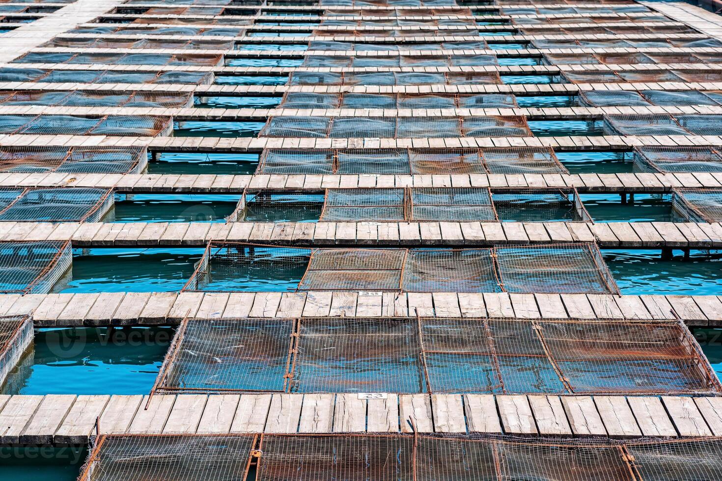 aquaculture installations with fish cages on a fish farm photo