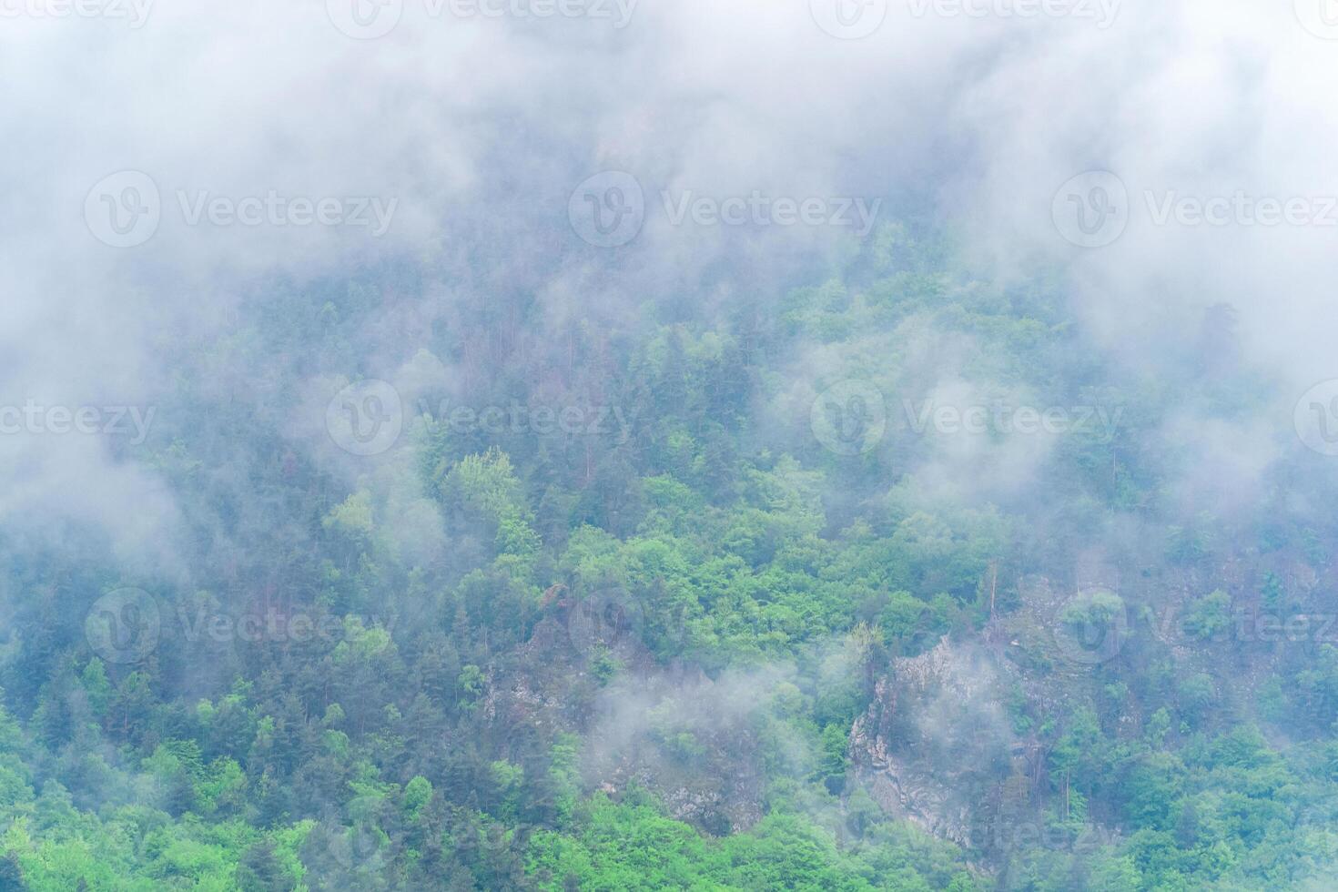 aerial view of the rain forest canopy, barely visible behind the fog photo
