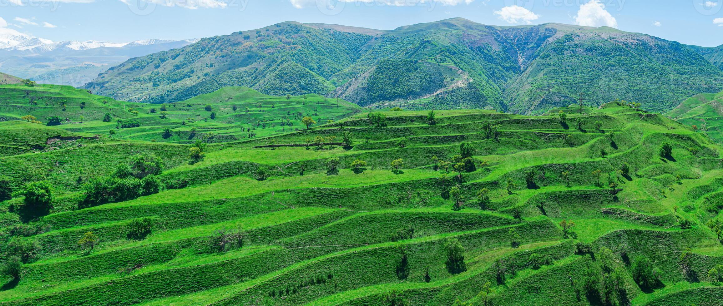 montaña paisaje con verde agrícola gradas en el pendientes foto