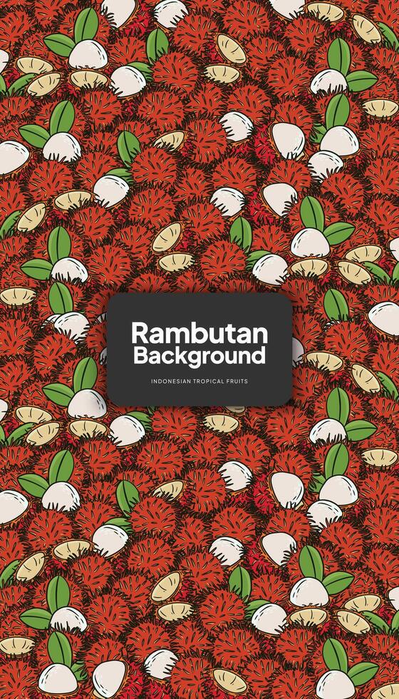 rambután antecedentes ilustración, tropical Fruta diseño antecedentes para social medios de comunicación enviar vector