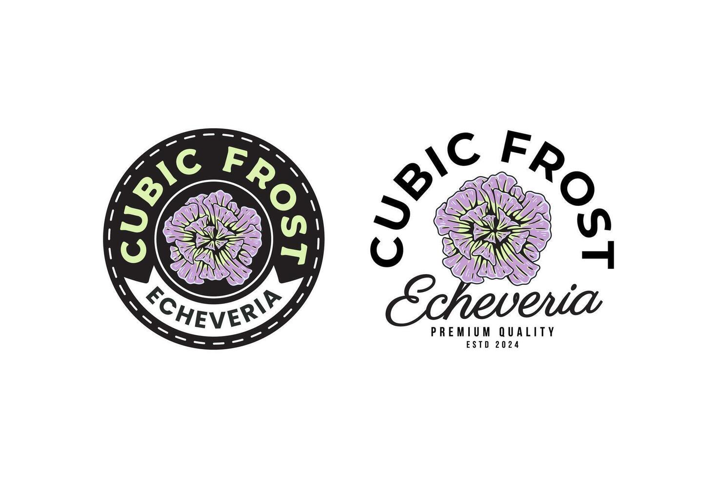 echeveria of cubic frost succulents logo design for plant shop and lover business vector