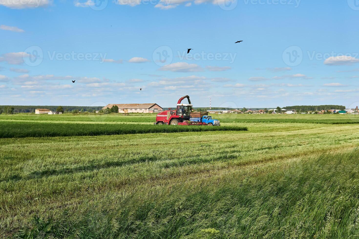 agricultural landscape with combine harvester photo