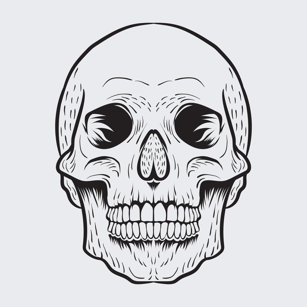 Vector Skeleton illustration art