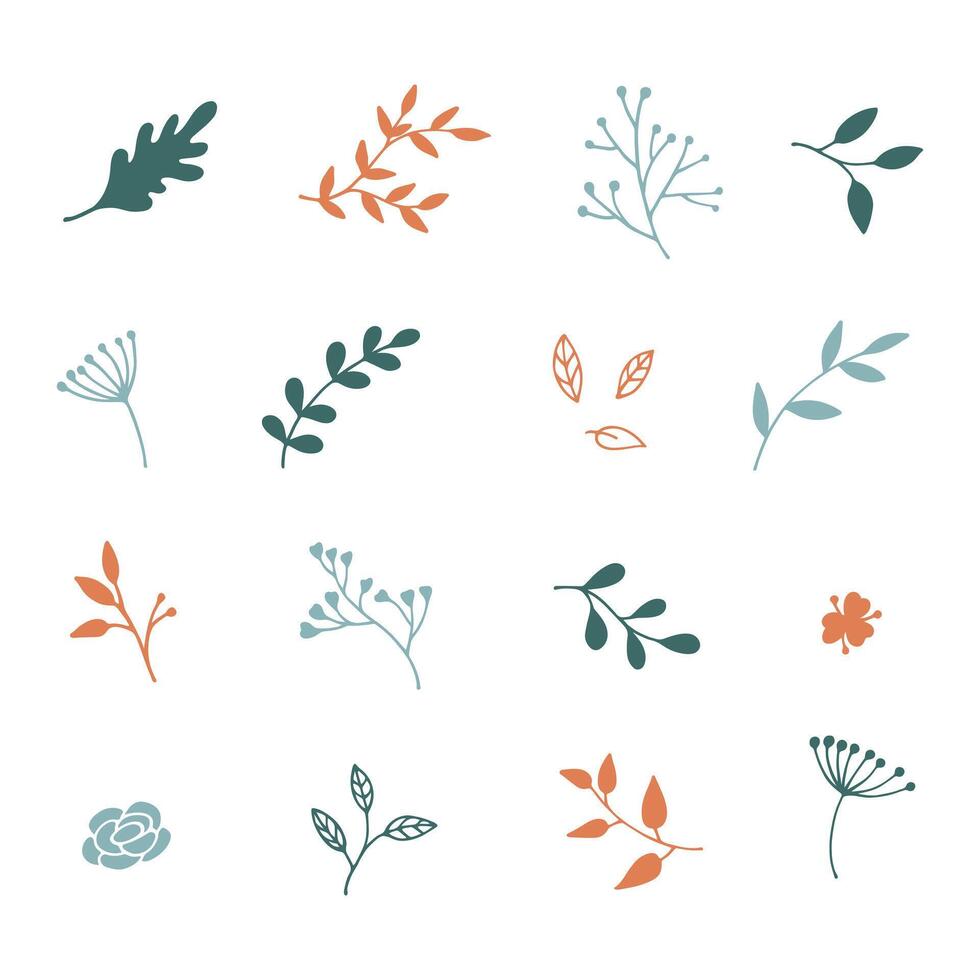 Set of hand drawn leaves, twig and branches on a white background. Big clipart doodle ornamental plants of the forest, park, grove, cute decorative elements. Vector flat botanical illustration, nature