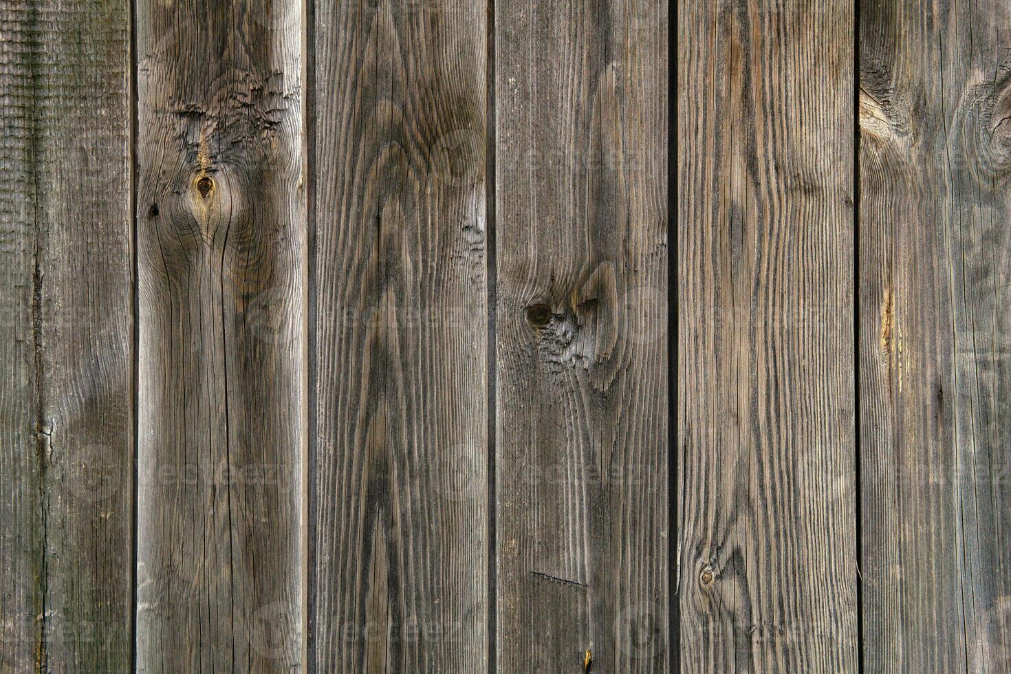 background, texture - plank fence from unpainted boards photo