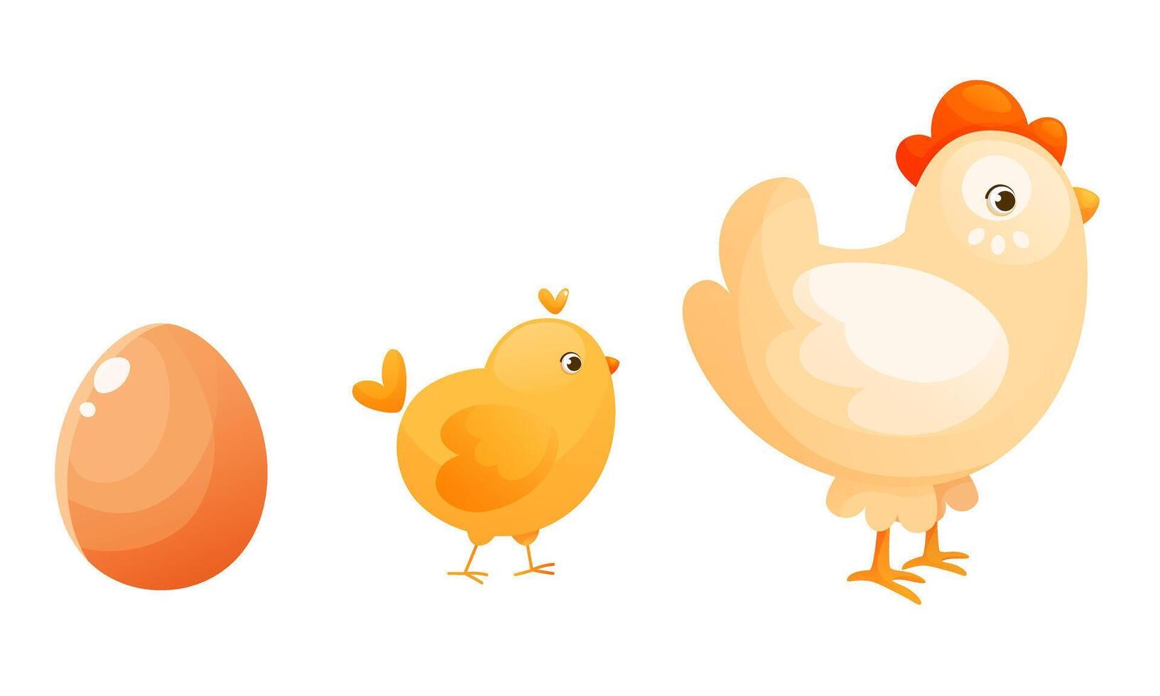 The process of hatching and raising a chicken, the stages of turning an egg into a chicken. vector