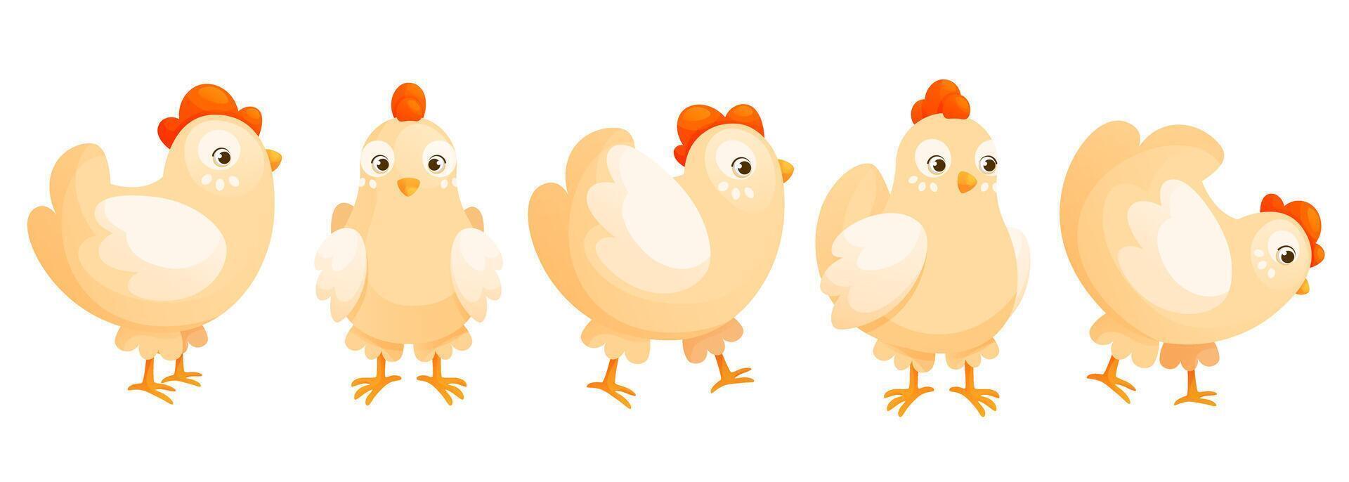 Cartoon domestic chicken in different poses, cute set. vector