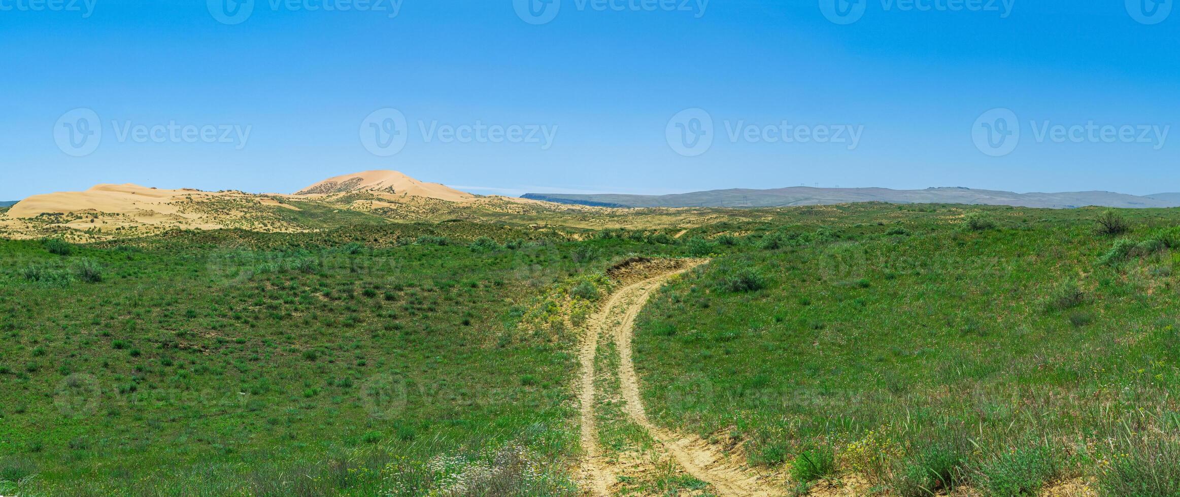 road in semi-desert steppe landscape in the vicinity of the Sarykum sand dune photo