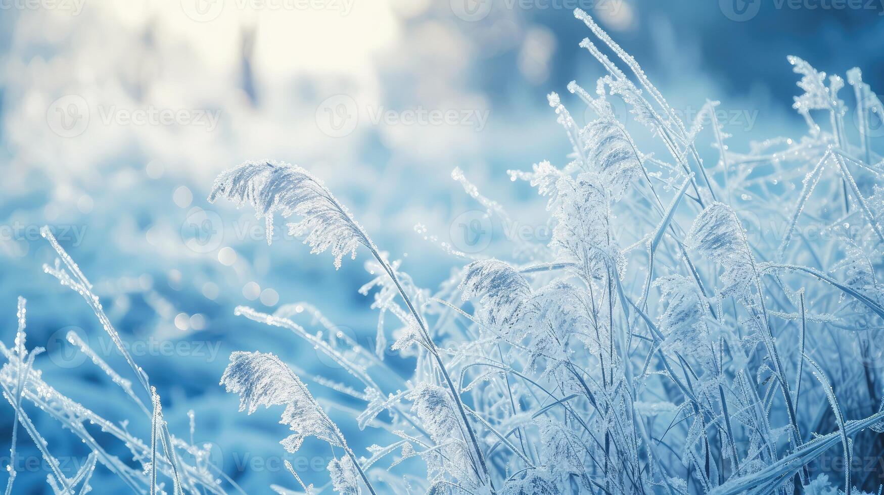AI generated Frosty nature background. Winter landscape with frozen grass in blue toned. photo