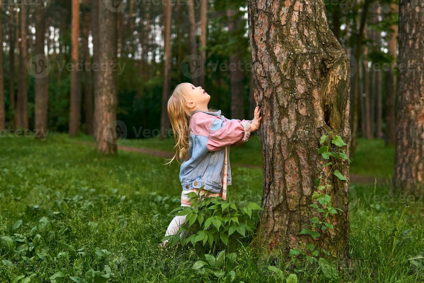 little girl girl looking up along a tree trunk seeing a bird or squirrel photo