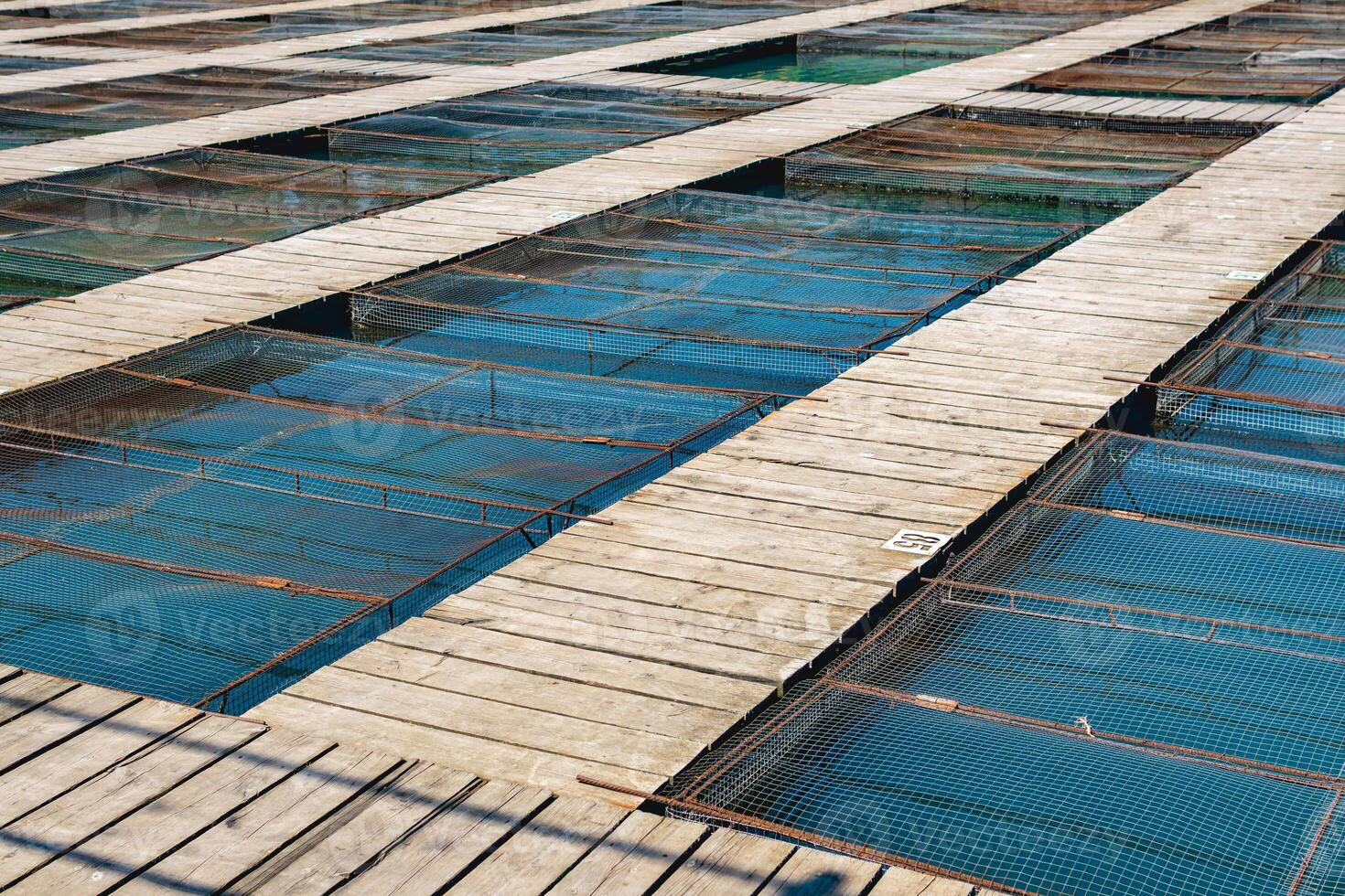 aquaculture installations with fish cages on a fish farm photo