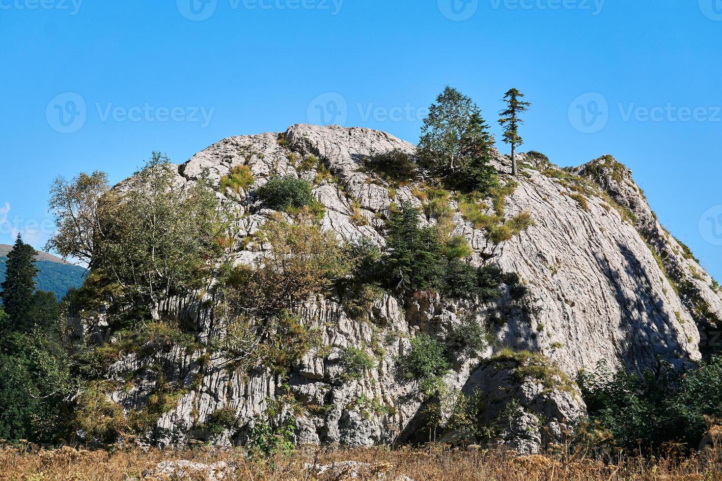 detached huge limestone cliff overgrown with trees photo