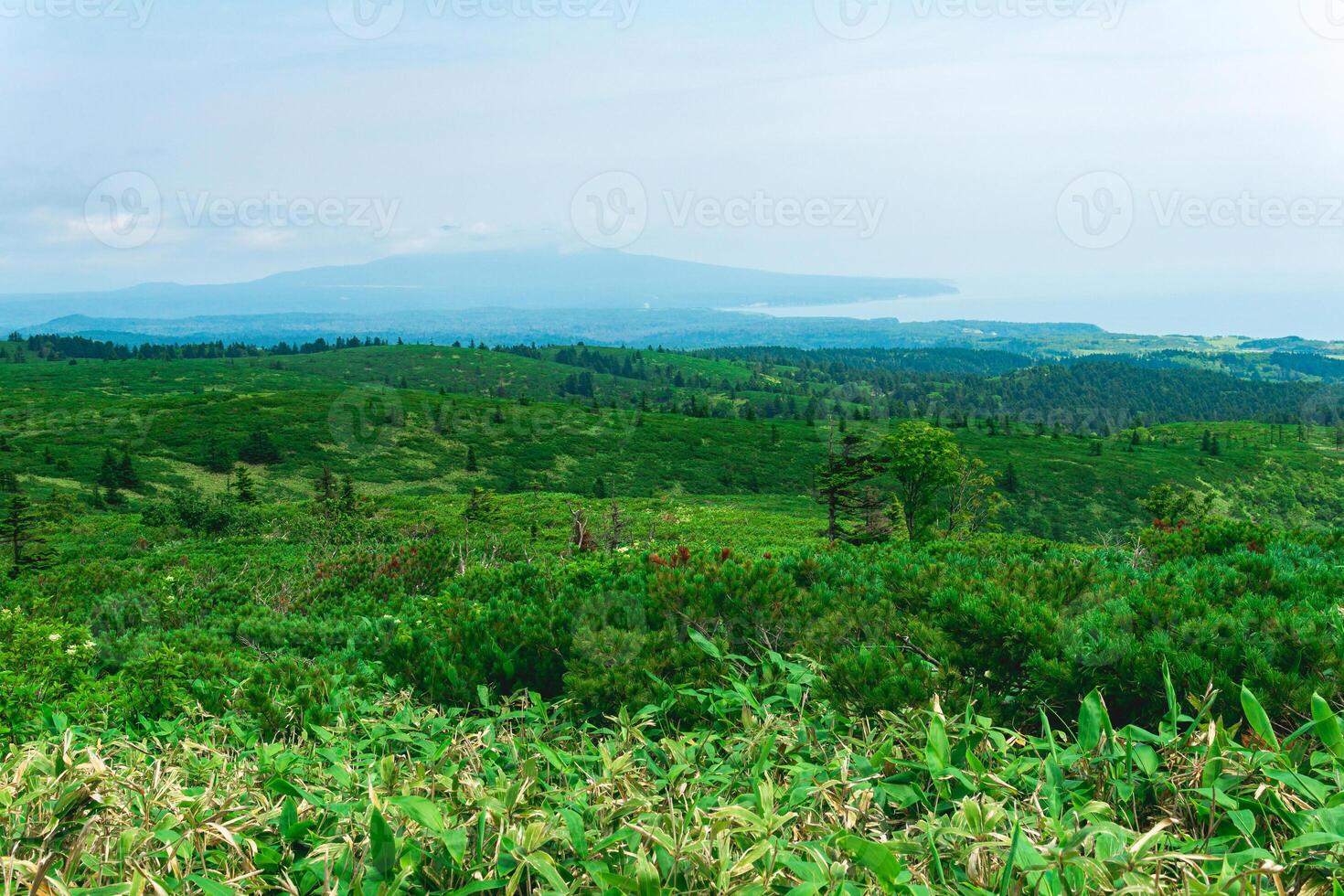 typical landscape of the southern Kuriles, view of Kunashir Island from the slope of Golovnin volcano, Mendeleyev volcano is visible in the distance in the haze photo