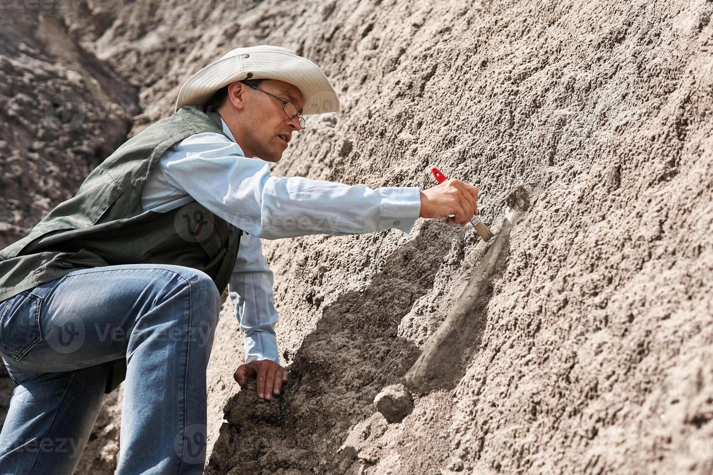 paleontólogo descubierto fósil hueso y limpia eso con un cepillo foto