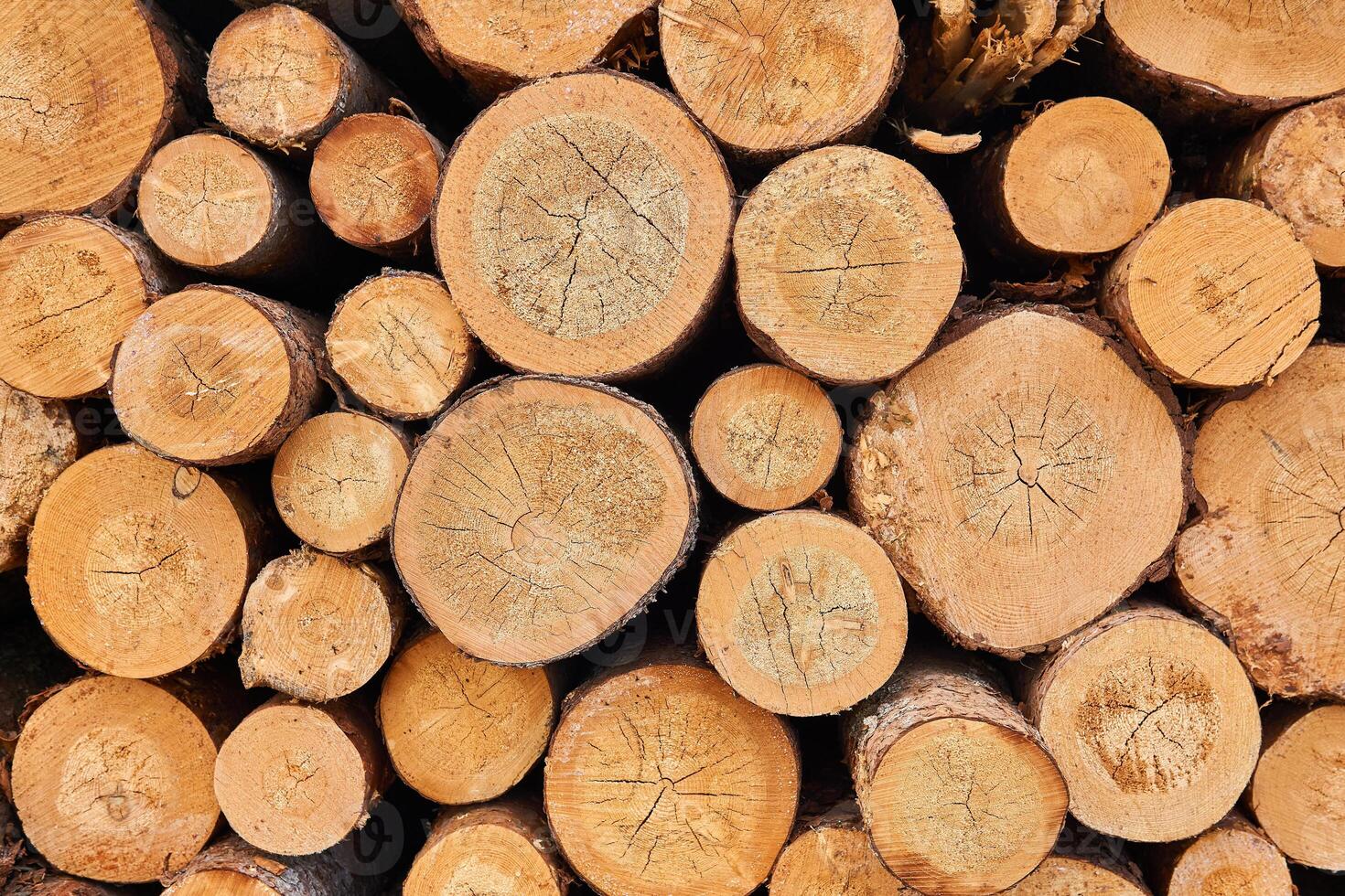 background - ends of stacked logs photo