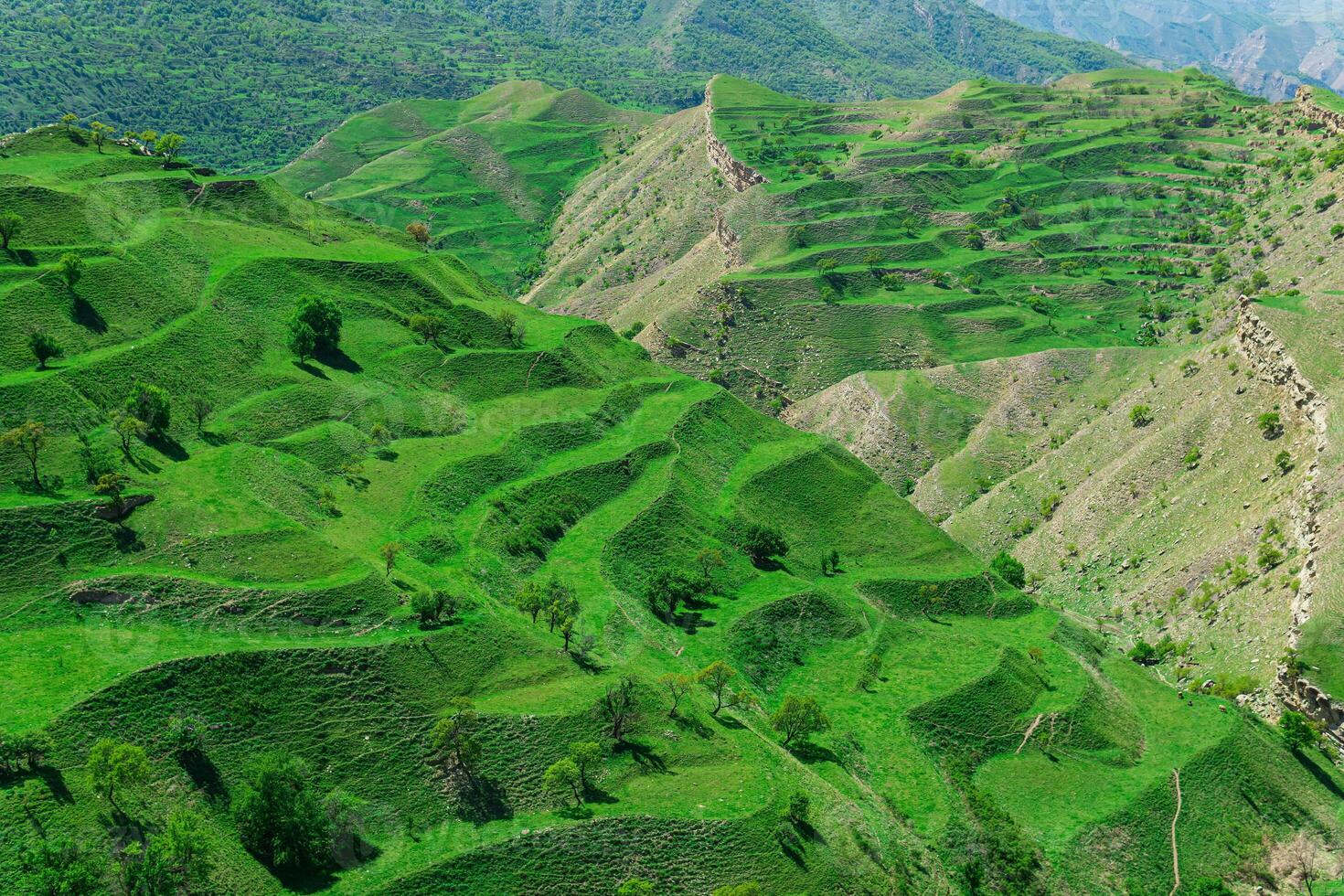 terraced farmland on the mountain slopes in Dagestan photo