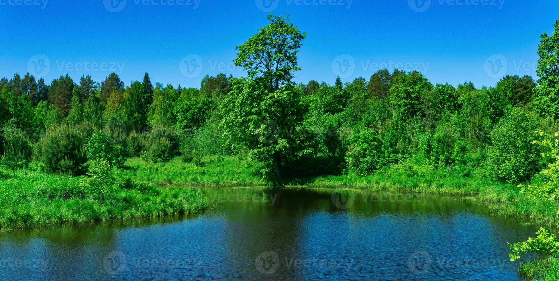 small forest river between banks with fen meadows photo