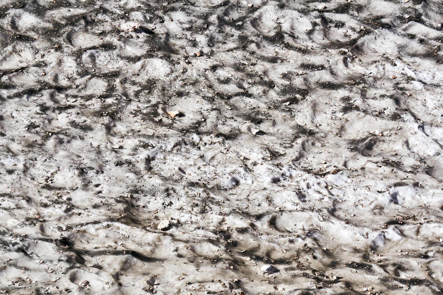 surface of a melting mountain glacier covered with stones and rubble photo