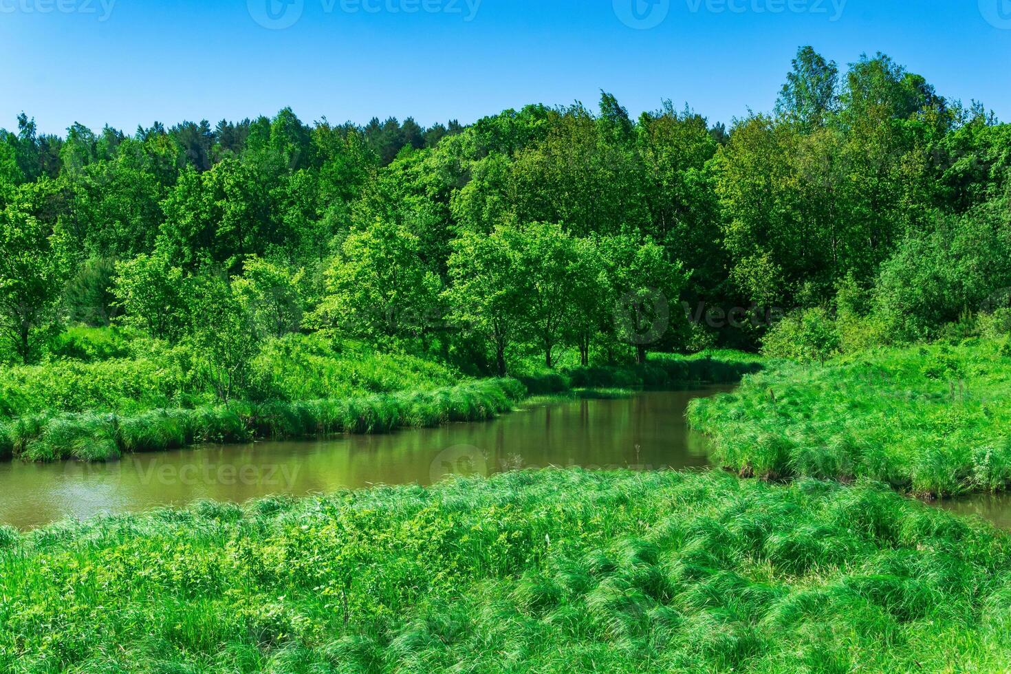 small forest river between banks with fen-meadows photo