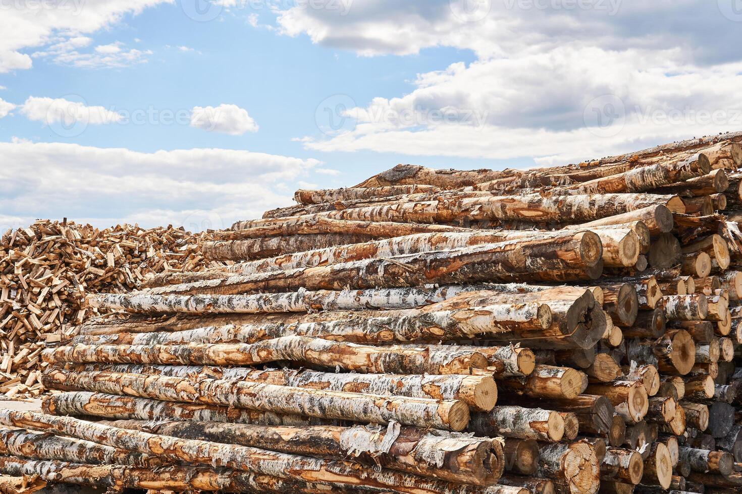 stacks of logs and heap of firewood chocks in the lumber yard photo