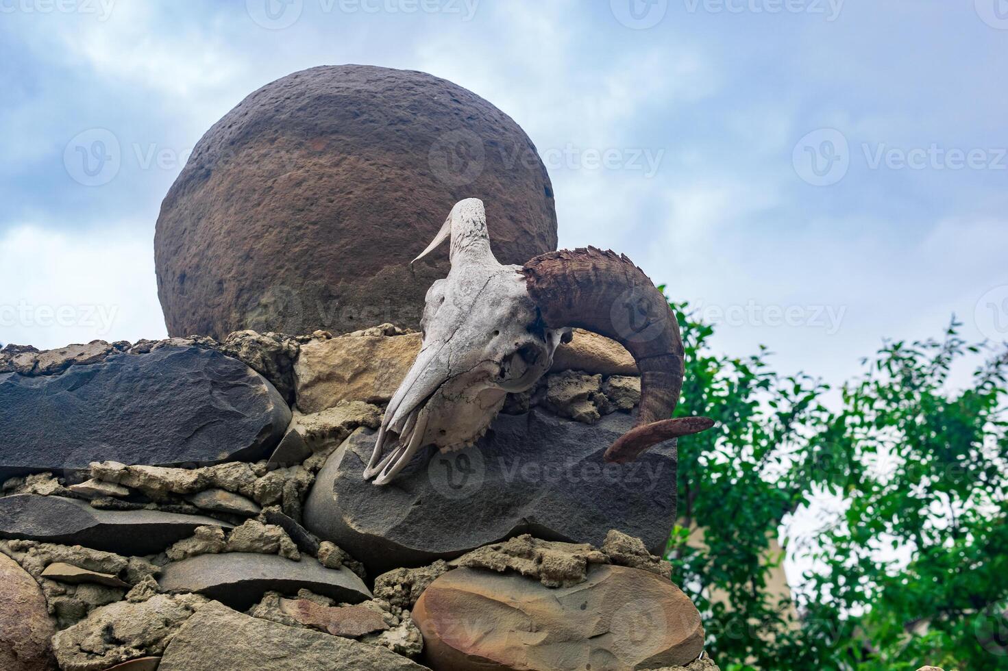 ram skull and a stone ball on top of a fence, an element of a strange landscape design in the countryside photo
