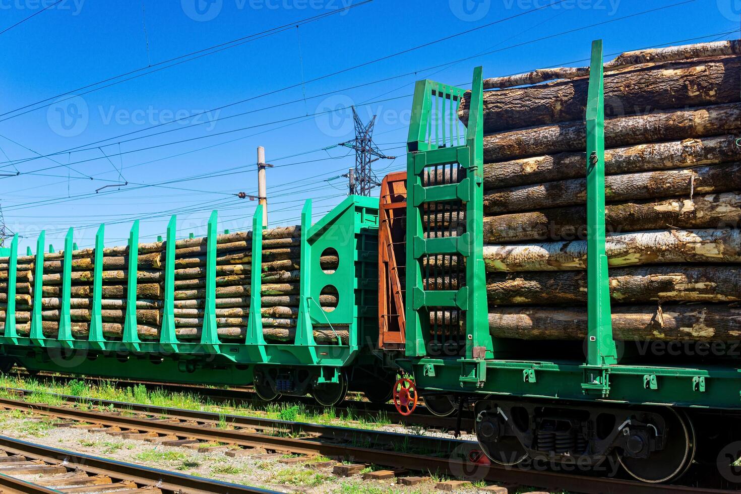 loaded railway wagons for carrying of logs close-up photo